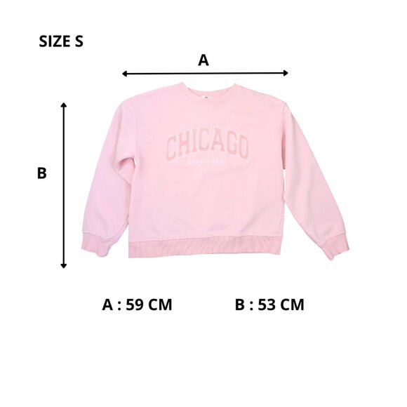 H&M Pink “Chicago Gold Coast” Women’s Sweatshirt – Size S - Picture 9 of 9